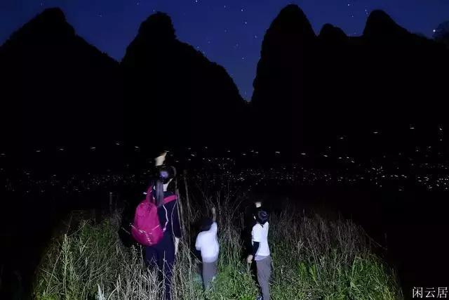 高光时刻 | 同方全球人寿2023年度奖项盘点